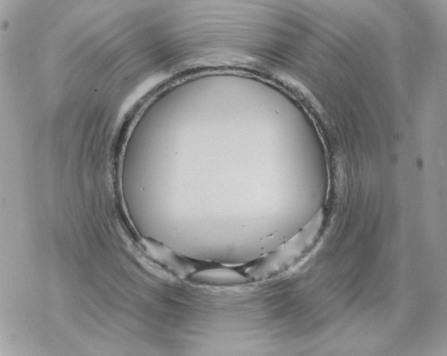 X0000070341114200607072006