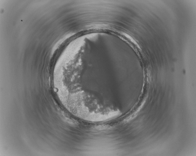 X0000070341117200607072006