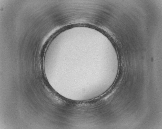 X0000070341118200607072006