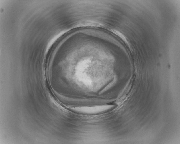 X0000070341120200607072006