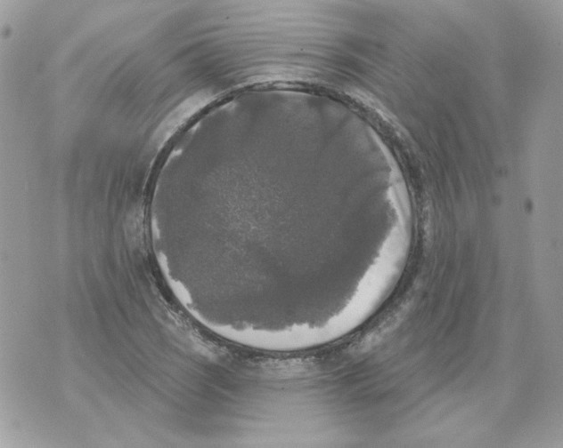 X0000070341121200607072006