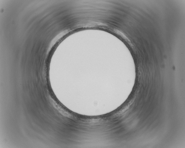 X0000070341122200607072006