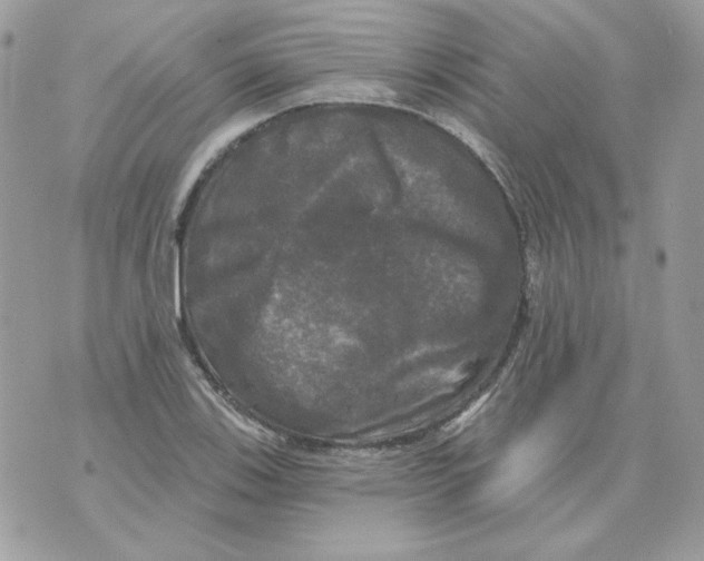 X0000070341123200607072006