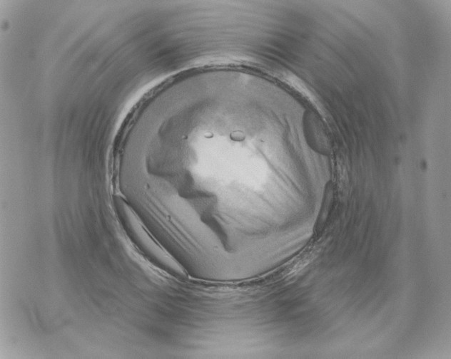 X0000070341124200607072006