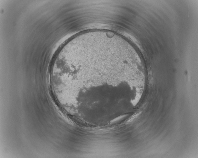 X0000070341125200607072006