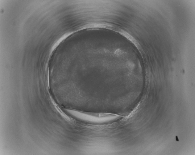 X0000070341127200607072006