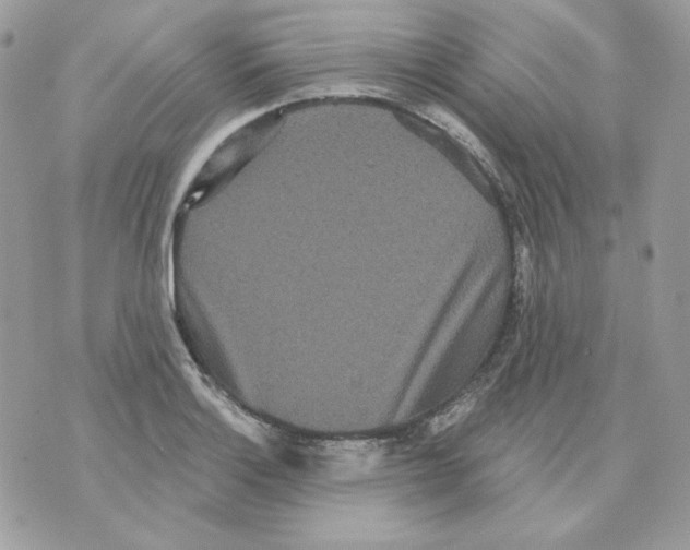 X0000070341132200607072006