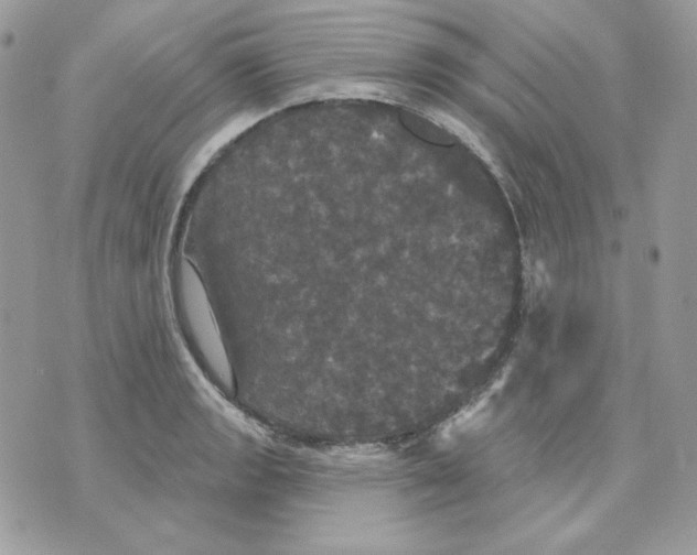 X0000070341133200607072006