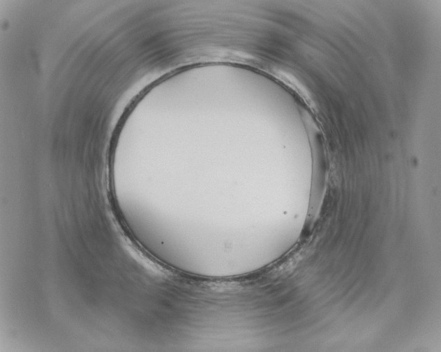 X0000070341136200607072006