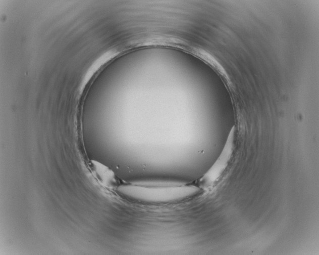 X0000070341138200607072006