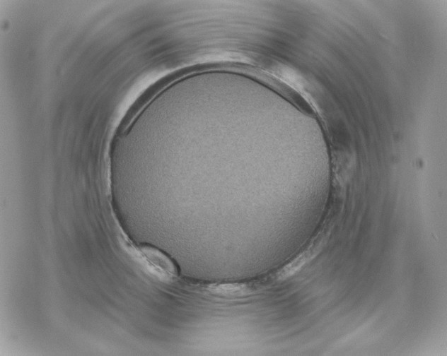 X0000070341140200607072006