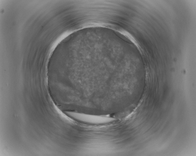 X0000070341143200607072006