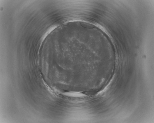 X0000070341145200607072006