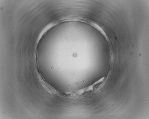 X0000070341146200607072006