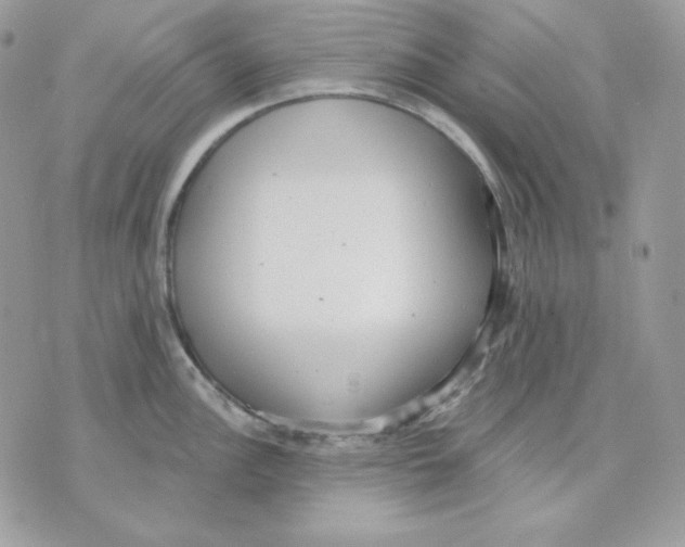 X0000070341148200607072006