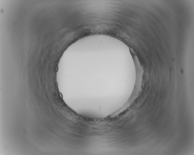 X0000070341153200607072006