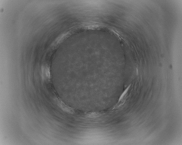 X0000070341155200607072006