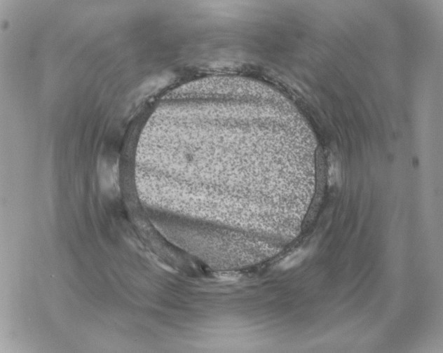 X0000070341156200607072006