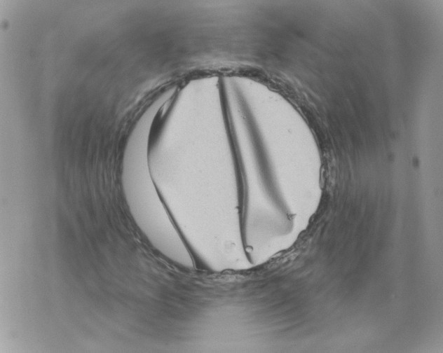 X0000070341157200607072006