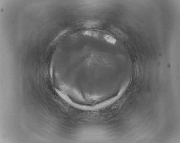 X0000070341158200607072006