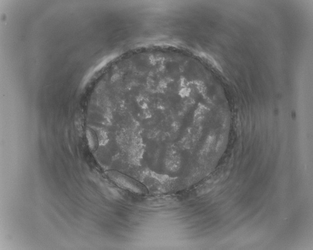 X0000070341159200607072005