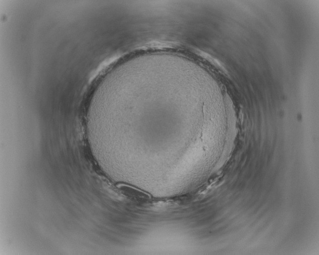 X0000070341160200607072005