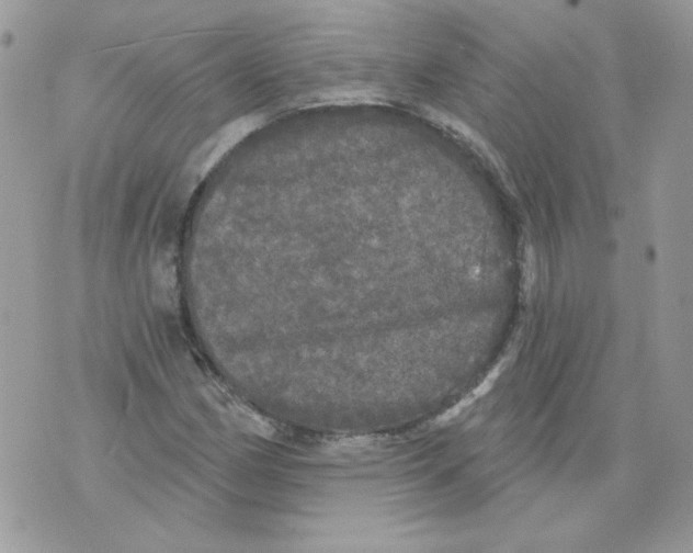 X0000070341162200607072005