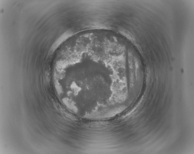 X0000070341163200607072005