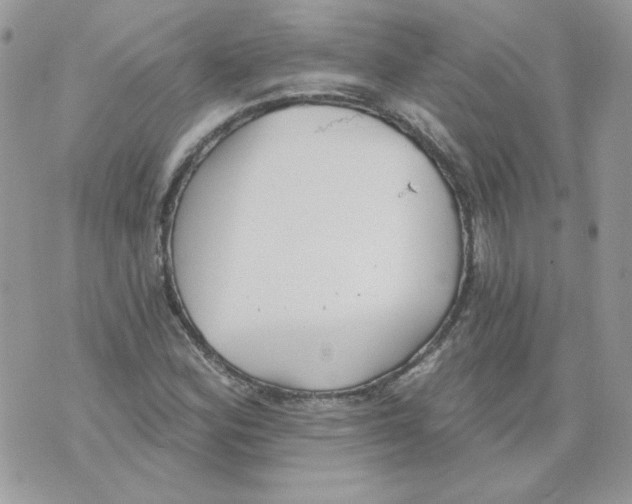 X0000070341164200607072005