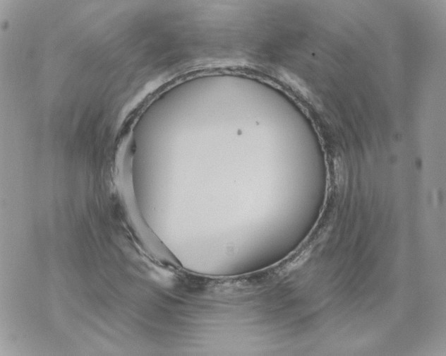 X0000070341165200607072005