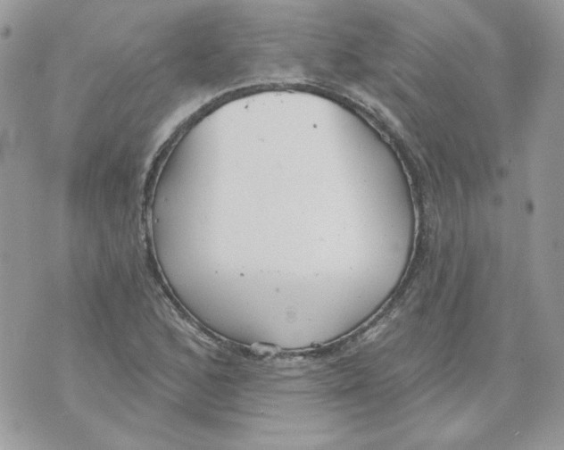 X0000070341168200607072005