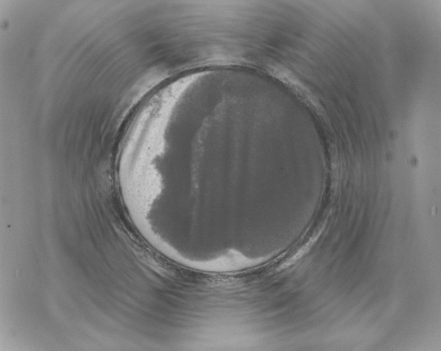 X0000070341170200607072005