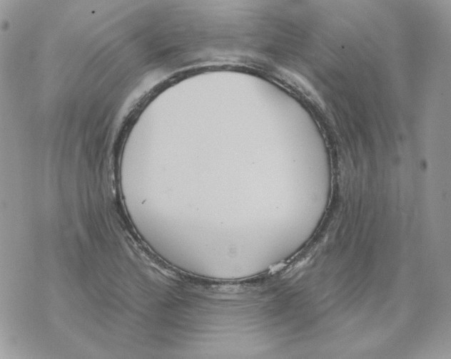 X0000070341172200607072005