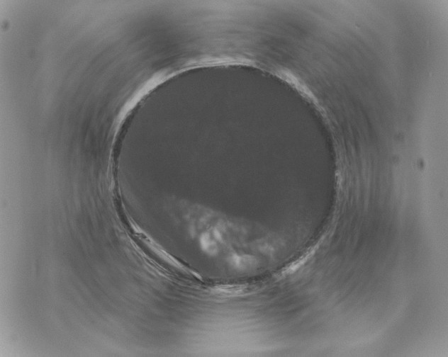 X0000070341173200607072005