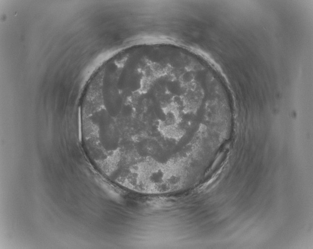 X0000070341175200607072005