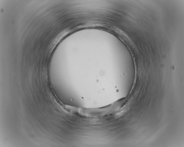 X0000070341177200607072005