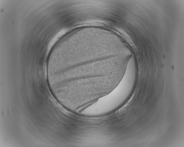 X0000070341180200607072005