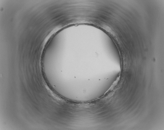 X0000070341181200607072005