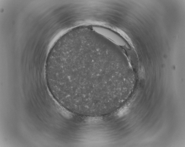 X0000070341183200607072005