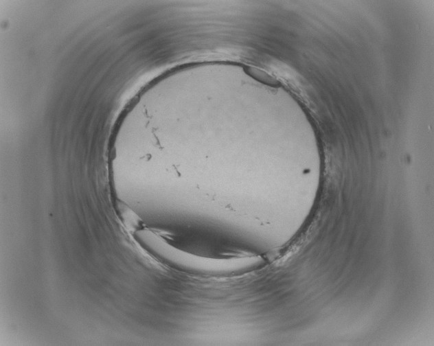 X0000070341184200607072005