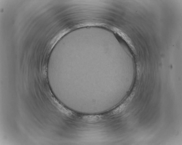 X0000070341185200607072005