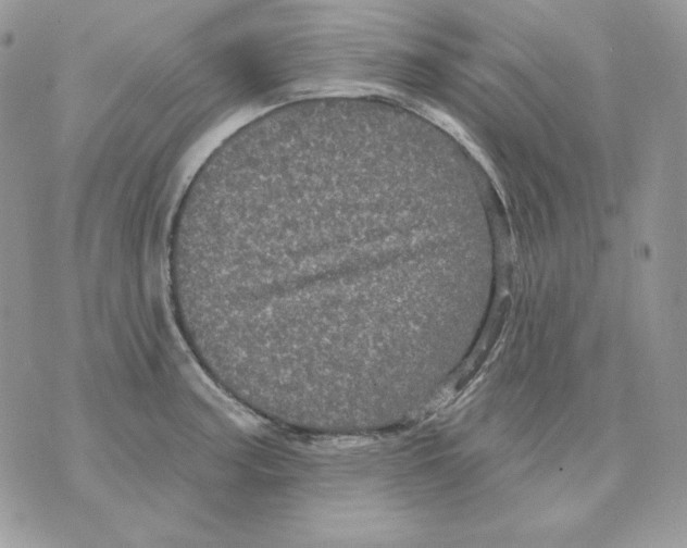 X0000070341187200607072005