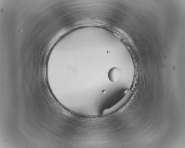 X0000070341188200607072005