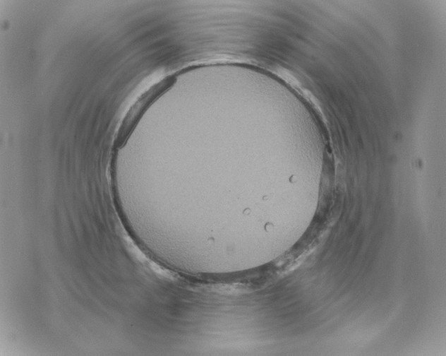 X0000070341189200607072005