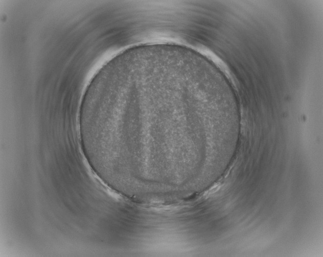 X0000070341191200607072005