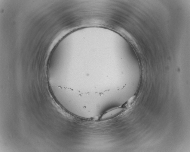 X0000070341192200607072005