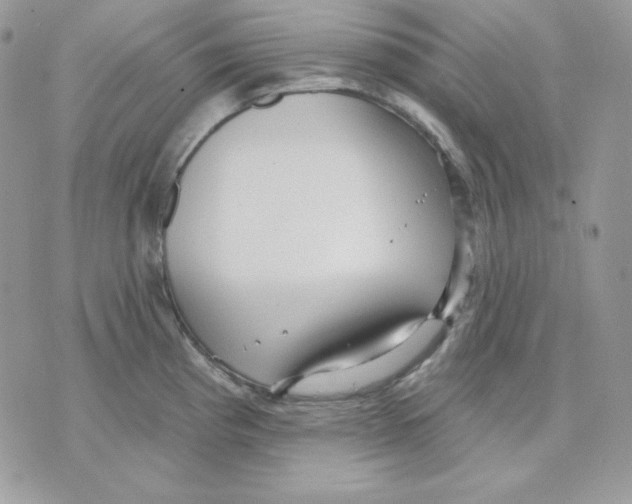 X0000070341193200607072005