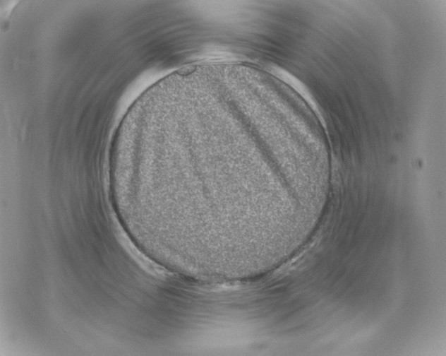 X0000070341195200607072005