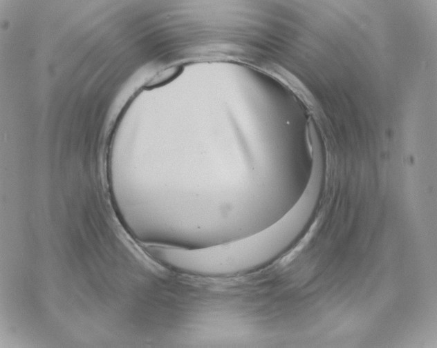 X0000070341196200607072005