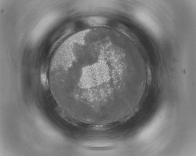 X0000070341198200607072005